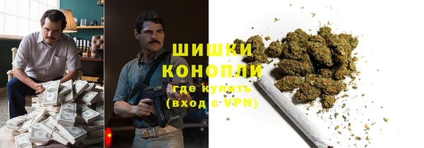 мдпв Волоколамск