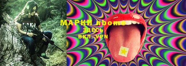 мдпв Волоколамск