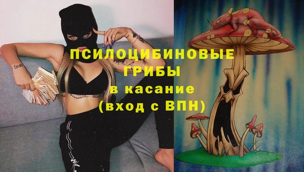 мдпв Волоколамск