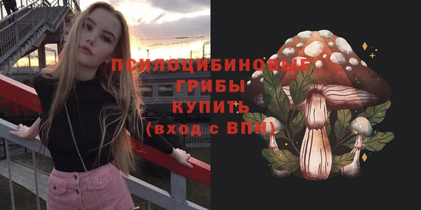 стафф Верхний Тагил